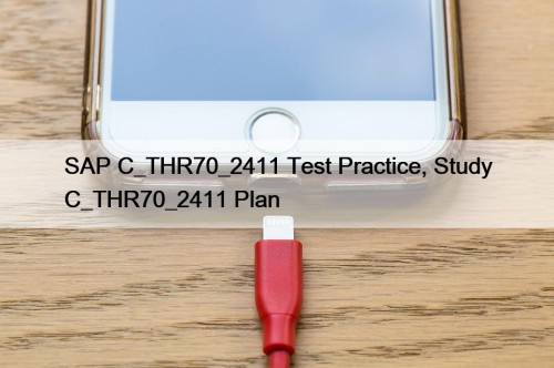 SAP C_THR70_2411 Test Practice, Study C_THR70_2411 Plan